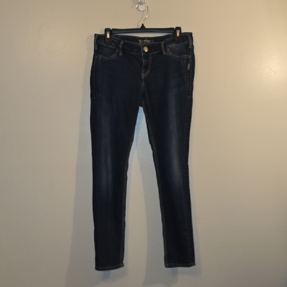 Silver Jeans Midnight Skinny Jeans LOT-N